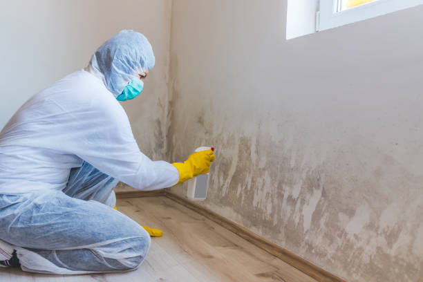 Mold inspector in Fair Haven performing thermal imaging