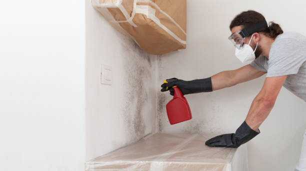Attic Mold Remediation treatment on roof deck in Fair Haven